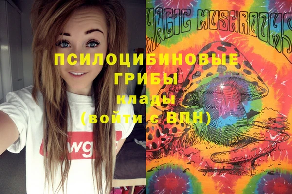 ECSTASY Нязепетровск
